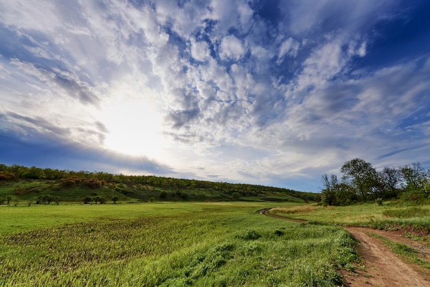 Foto grüne wiesen unter einem blauen himmel mit wolken im sonnenlicht