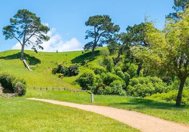 grüne Wiesenlandschaft