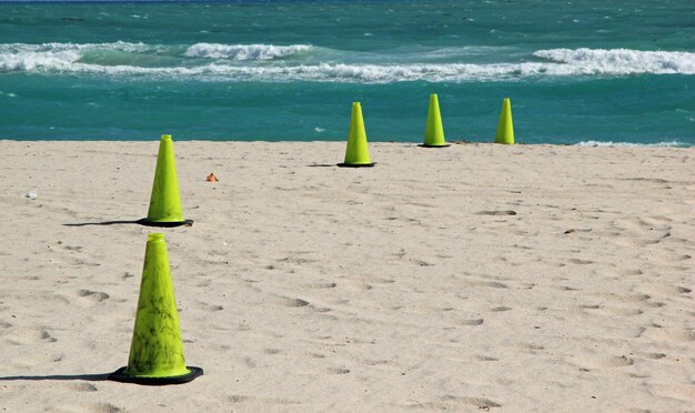 Foto grüne zapfen am strand