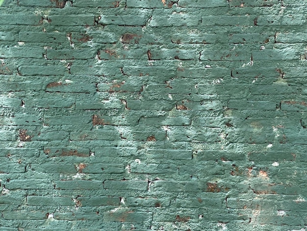 Grüne Ziegelwand mit weißen Flecken
