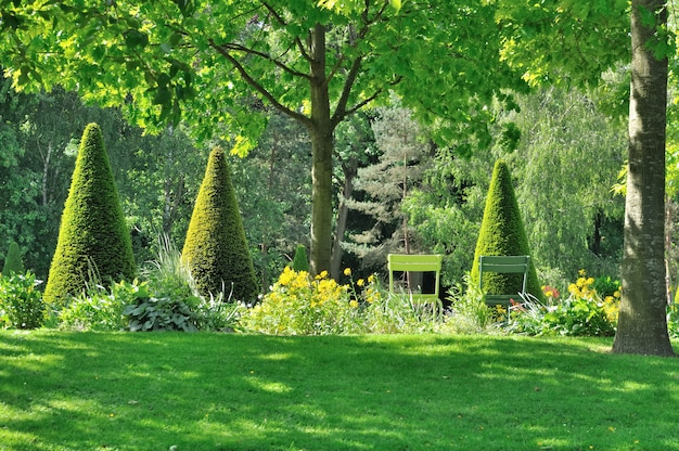 Grünen Garten