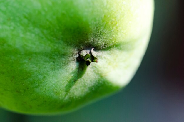 Grüner Apfel hautnah