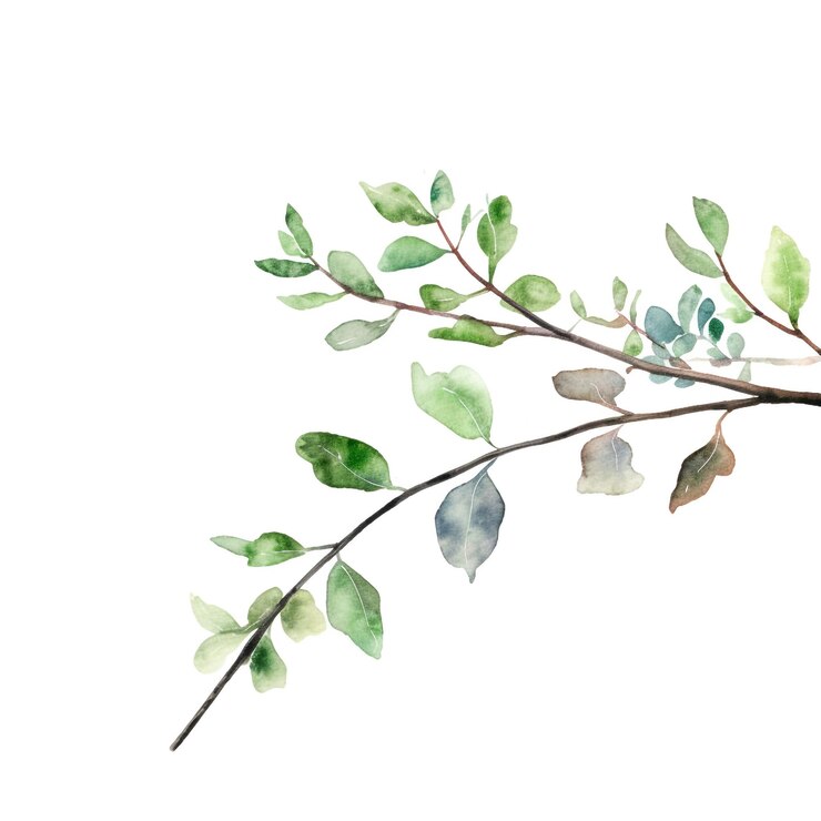 Foto grüner aquarellblattzweig