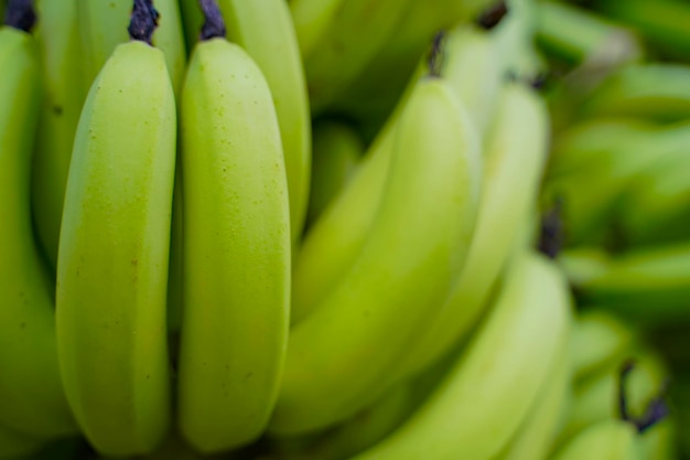 Grüner Bananenbündel am Landwirtschaftsfeld.