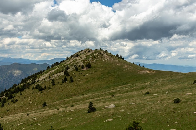 Grüner Berg mit Tannen und Sturmwolken