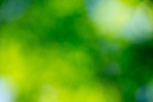 Grüner Bokeh-Hintergrund aus Naturwald unscharf