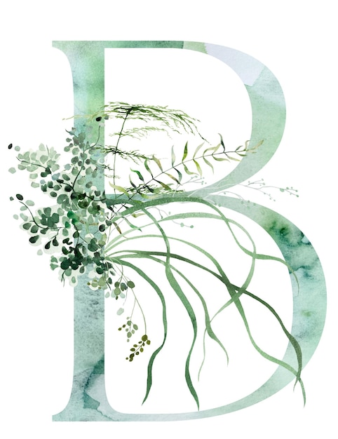 Foto grüner buchstabe b mit aquarell schrillerhaften zarten blättern isolierte illustration hochzeitselement