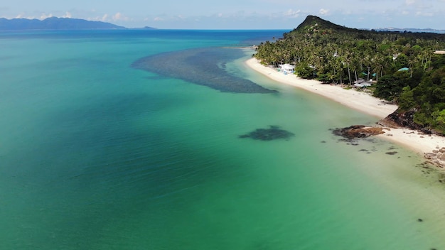 Grüner Dschungel und steiniger Strand am Meer