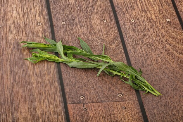 Grüner Estragon-Kräuter-Gewürz-Aroma zum Kochen