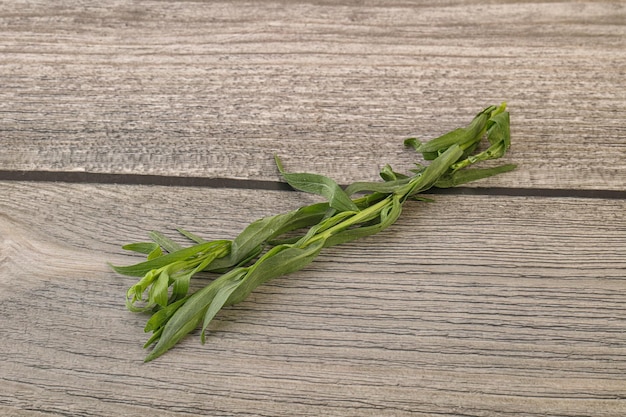 Grüner Estragon-Kräuter-Gewürz-Aroma zum Kochen