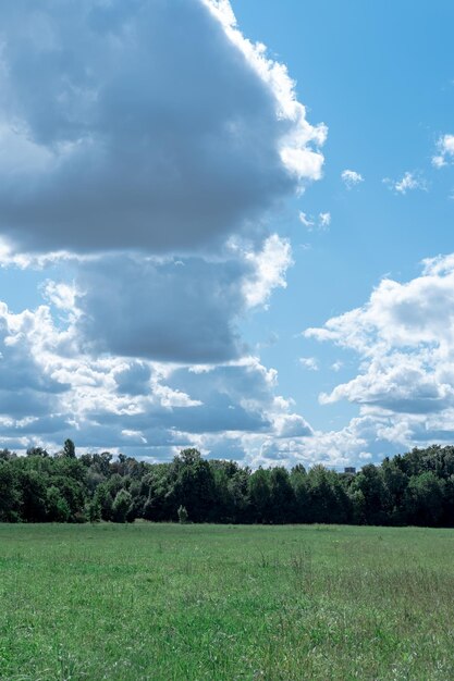 Grüner Feldwald und blauer Himmel mit Wolken