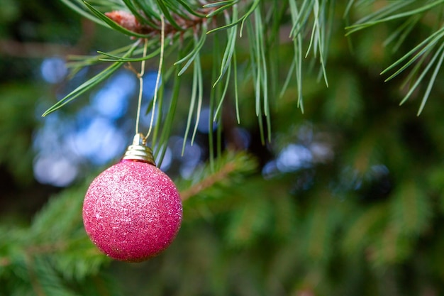 Grüner Fichtenzweig mit weihnachtlichem rosa Spielzeug hautnah