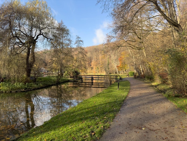 Grüner Freizeitpark bois des reves mit See in Ottignie louvain la neuve Provinz Wallonische Brabant