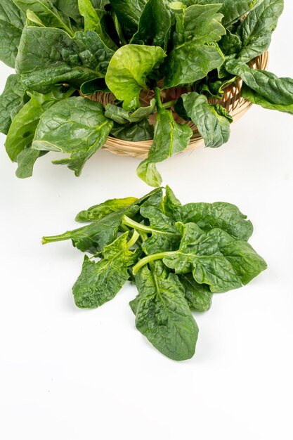 Grüner frischer organischer Spinat auf dem weißen Hintergrund