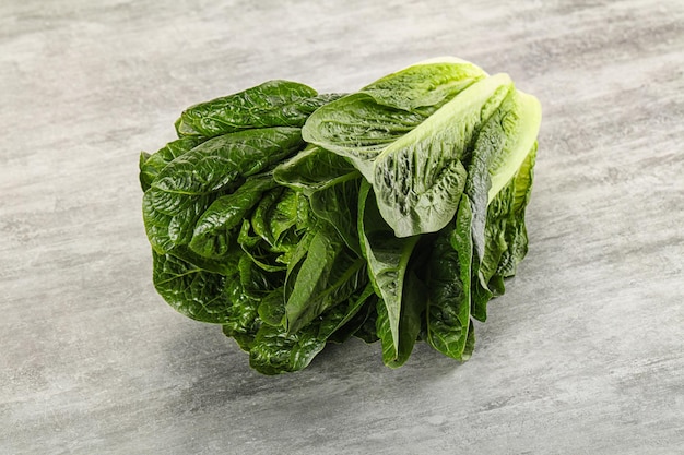 Grüner, frischer, saftiger Romano-Salat zum Kochen