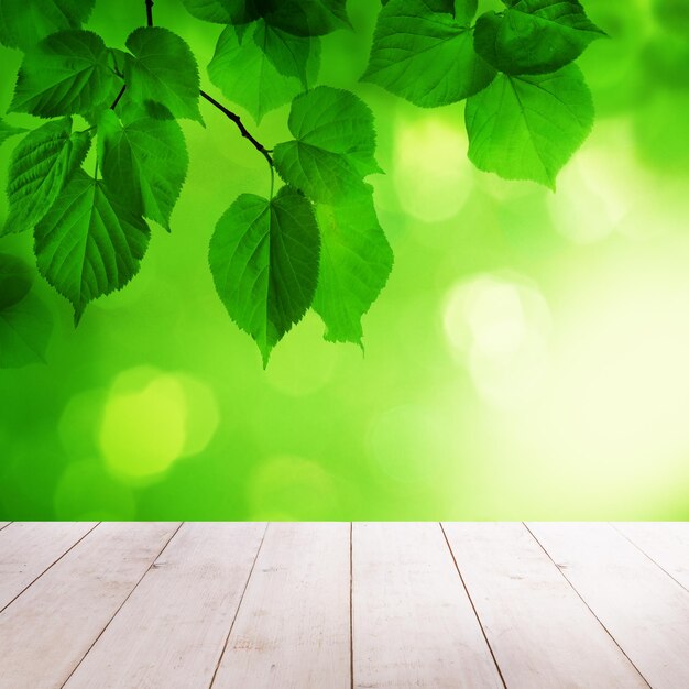 Grüner Frühlingshintergrund mit leeren weißen Holztischgrünblättern und Bokeh-Licht