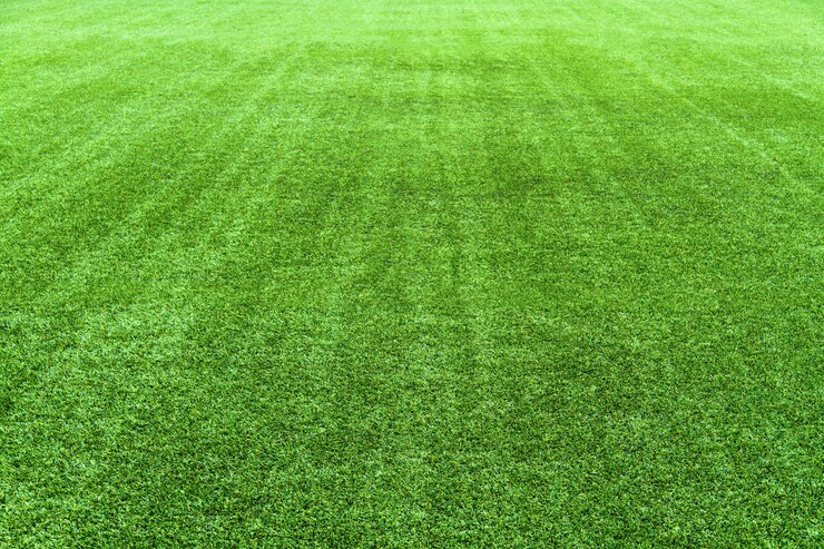 Grüner Fußballplatz