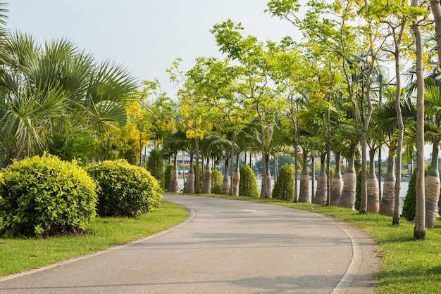 Grüner Garten mit rüttelnder Spur am Park