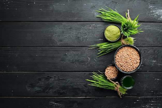 Grüner gekeimter weizen weizenpulver und weizenkörner micro green gesunde lebensmittel draufsicht freier platz für ihren text