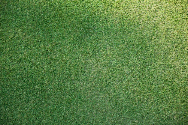 Grüner Grasbeschaffenheitshintergrundgolfplatz oder Fußball von oben