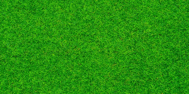 grüner Grashintergrund, Fußballfeld