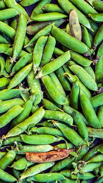 Grüner Hintergrund mit grünen Dufterbsen grüne Dufterbse Vervollständigen Sie den Bildhintergrund mit grünen Dufterbsen