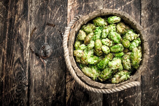 Grüner Hopfen für Bier in einem hölzernen Eimer