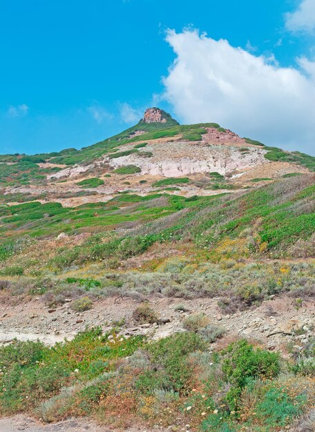 Grüner Hügel unter blauem Himmel in Sardinien