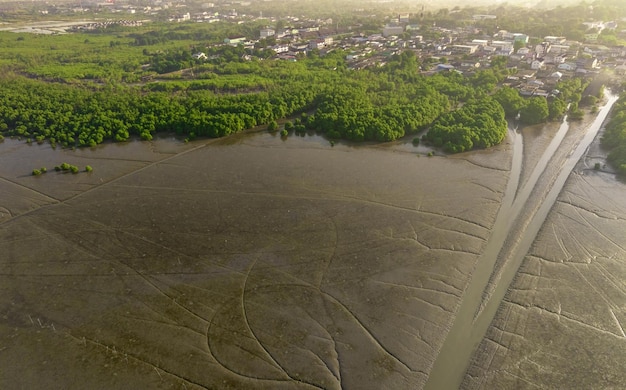 Grüner Mangrovenwald mit nachhaltiger Stadt am Meer Mangroven-Ökosystem Natürliche Kohlenstoffsenken