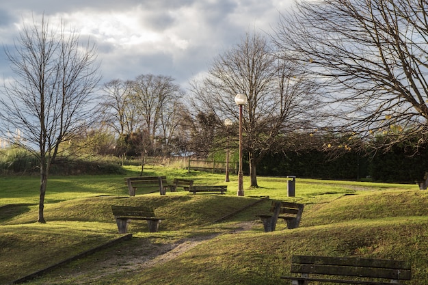 Grüner Park im Herbst mit Banken und Wolken