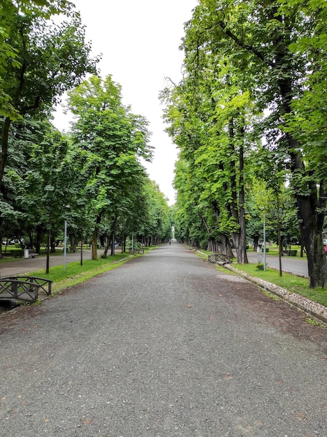 Grüner Park in Cluj-Napoca, Rumänien