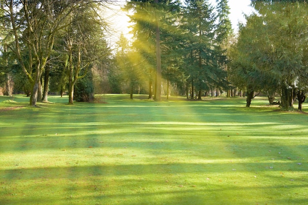 Grüner Park