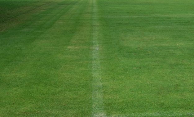 Grüner Rasen ein Fußballfeld