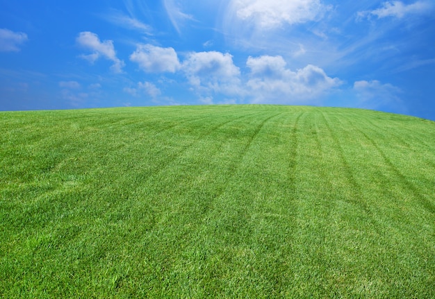 Grüner Rasen mit blauem Himmel