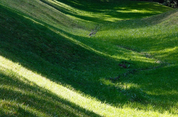 Grüner Rasen mit Schatten