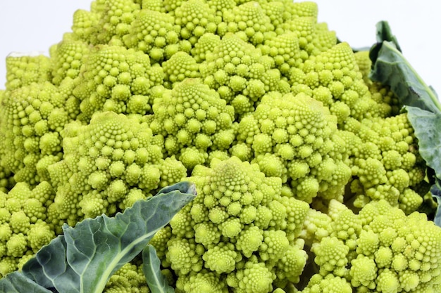 Grüner Romanesco-Brokkoli