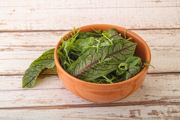 Grüner Salat in der Schüssel