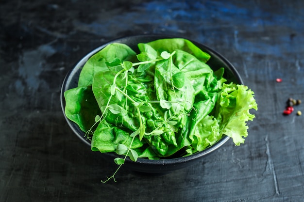 grüner Salat Spinat, Rucola, Salat, Mikrogrün