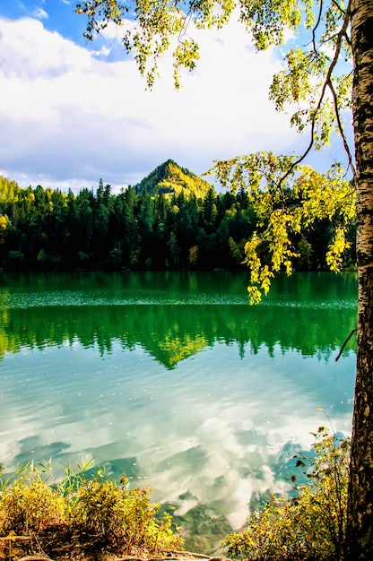 Grüner Sibiriensee des Gebirgherbstes mit Reflexion und dem Zweig einer Birke