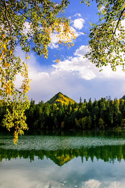 Grüner Sibiriensee des Gebirgherbstes mit Reflexion und dem Zweig einer Birke