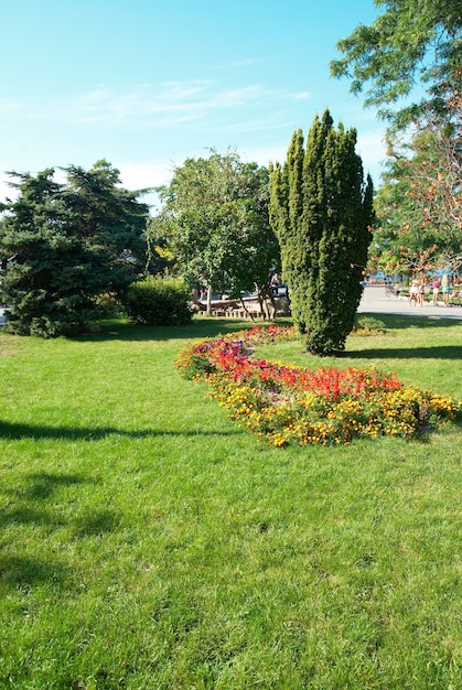 Grüner sonniger Park mit Blumen und Bäumen