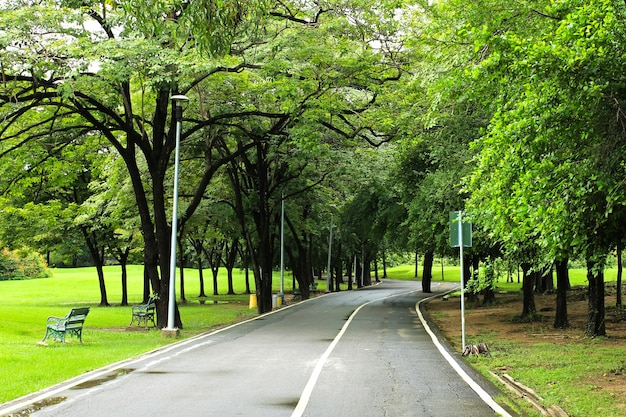 Foto grüner stadtpark