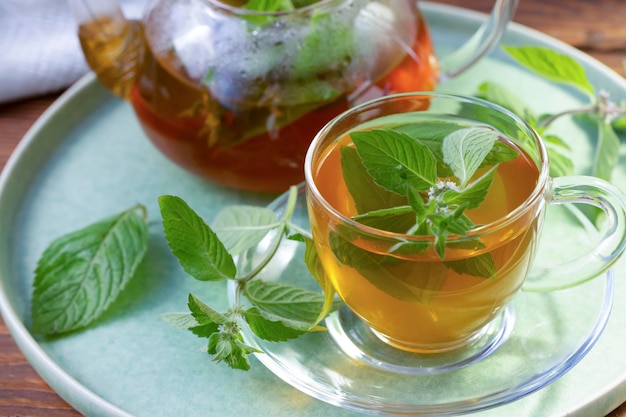 Grüner Tee mit Minze in einer transparenten Schüssel Antioxidantien für gesunde Lebensmittel