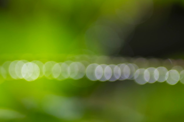Grüner und gelber Bokeh-Zusammenfassungshintergrund bunter Glitzer, der von den Blättern im Garten defokussiert wird