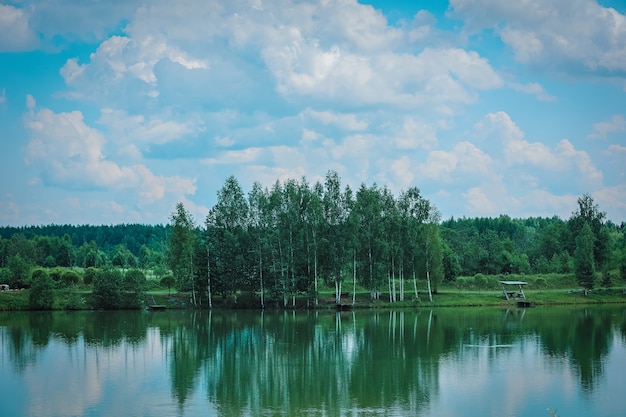 Grüner Wald am See in Reflexion in der Wasserschönheit in der Natur