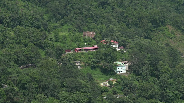 Grüner Wald von uttarkhand HD-Bild