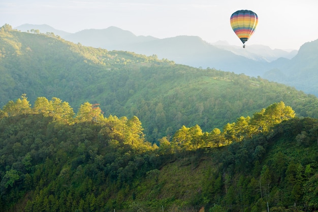 Grüner Waldberg mit Heißluftballon