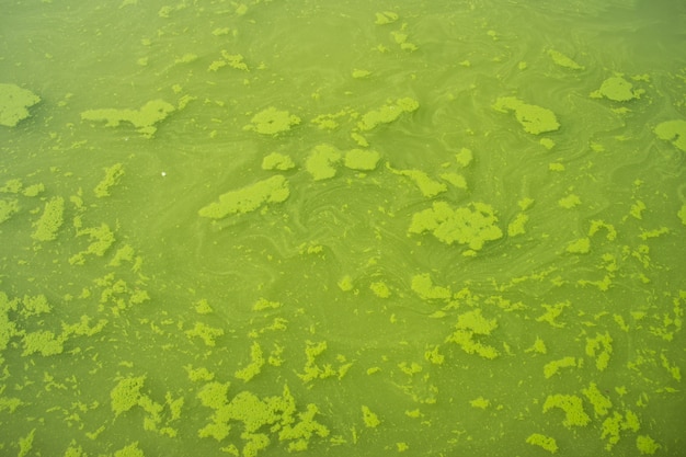 grüner Wasserhintergrund