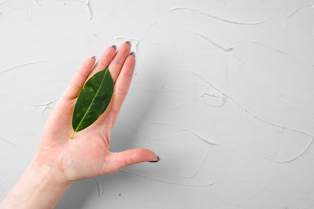 Grünes Blatt auf einer Palme der Hand der Frau