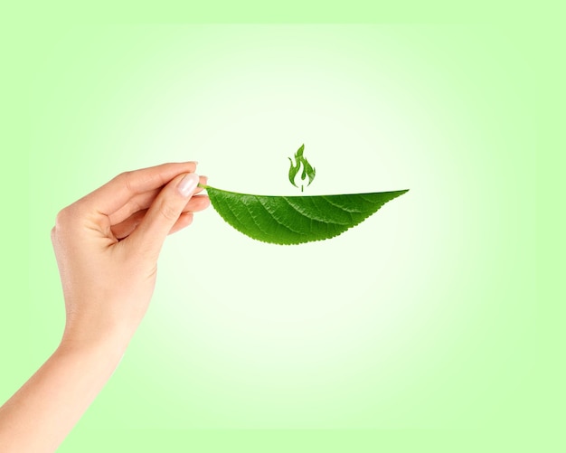 Foto grünes blatt in der hand ökologie-konzept mit der grünen flamme